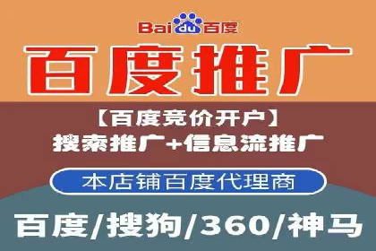 百度SEM推广策略：成功案例解析